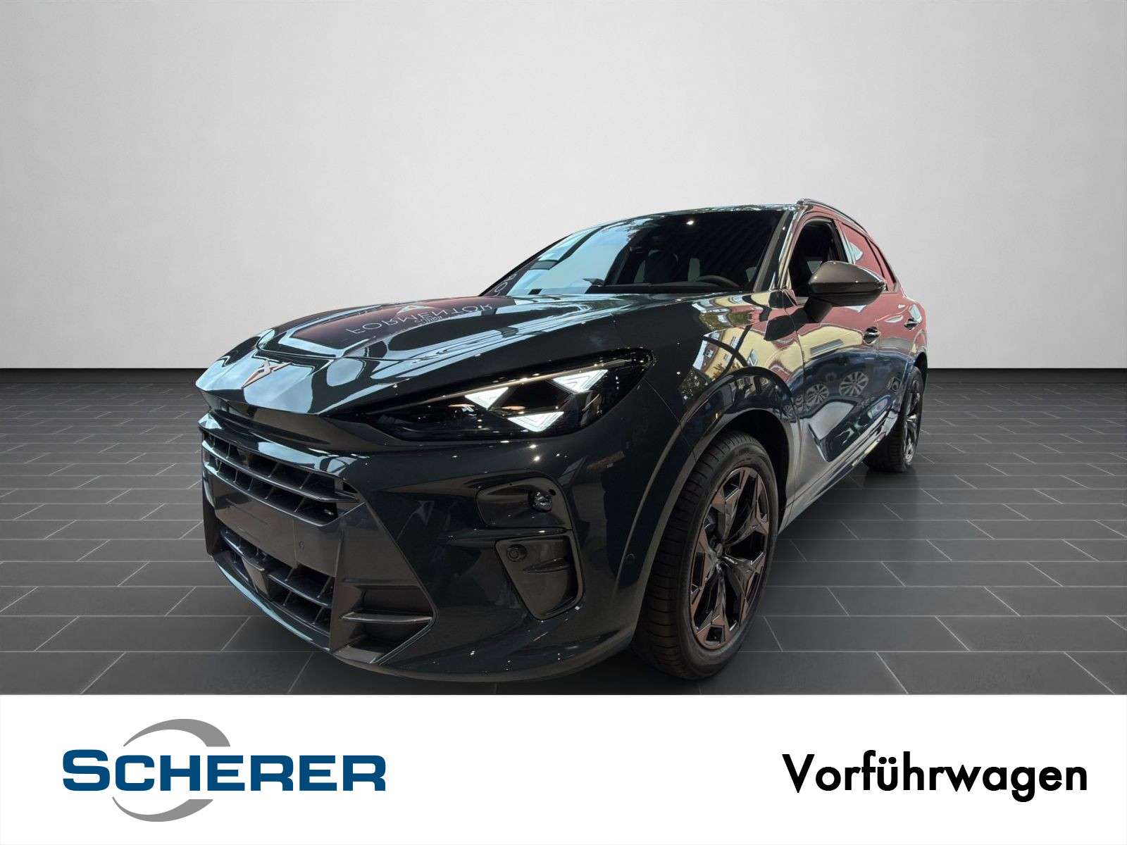 Second hand Cupra Terramar 2.0