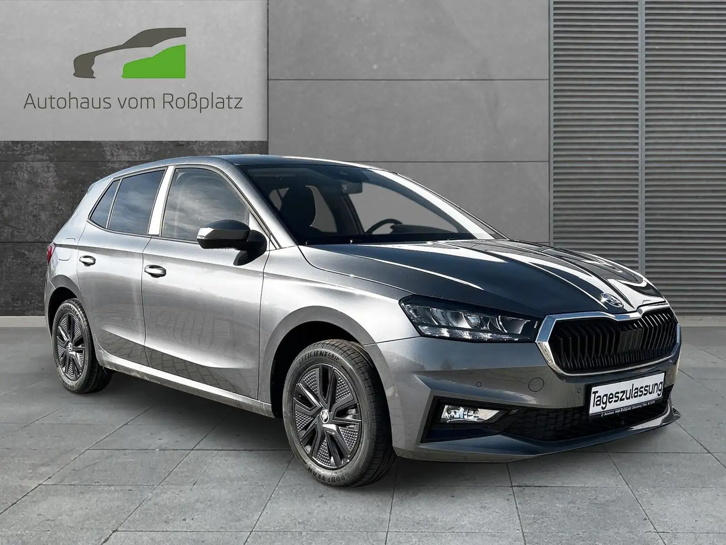Skoda Fabia Selection Grau - 1