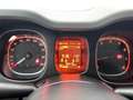 Fiat Panda 0.9 TwinAir Edizione Cool | Airco | Radio Rot - thumbnail 13