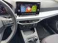 SEAT Ibiza 1.0 TSI Style Edition SHZ KLIMA CARPLAY Grau - thumbnail 11