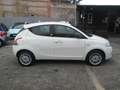 Lancia Ypsilon Ypsilon 1.2 Gold ecochic Gpl 69cv my16 Bianco - thumbnail 2
