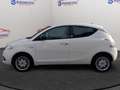 Lancia Ypsilon Ypsilon 1.2 Gold ecochic Gpl 69cv my16 Bianco - thumbnail 2