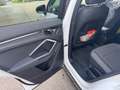 Audi Q3 Q3 35 TDI quattro intense S-tronic intense Weiß - thumbnail 12