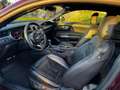 Ford Mustang GT 5.0L V8 BVA - thumbnail 9