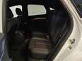 Audi Q5 Q5 SPB 40 TDI quattro S tronic Identity Black Blanc - thumbnail 13