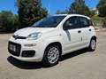 Fiat Panda Panda III 2012 1.3 mjt 16v Lounge 75cv - thumbnail 1