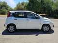 Fiat Panda Panda III 2012 1.3 mjt 16v Lounge 75cv - thumbnail 4