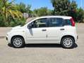 Fiat Panda Panda III 2012 1.3 mjt 16v Lounge 75cv - thumbnail 8