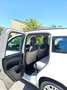 Fiat Panda Panda III 2012 1.3 mjt 16v Lounge 75cv - thumbnail 14