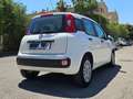 Fiat Panda Panda III 2012 1.3 mjt 16v Lounge 75cv - thumbnail 5