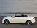 Mercedes-Benz E 500 AMG-Line V8 Aut. ID:97 Weiß - thumbnail 4