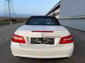 Mercedes-Benz E 500 AMG-Line V8 Aut. ID:97 Weiß - thumbnail 17