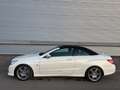 Mercedes-Benz E 500 AMG-Line V8 Aut. ID:97 Weiß - thumbnail 15