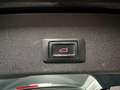 Audi Q5 2.0 TFSI quattro Pro Line Plus|LEDER|B&O|CRUISE|CA Blu/Azzurro - thumbnail 8