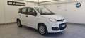 Fiat Panda Panda 1.2 Pop s Bianco - thumbnail 1