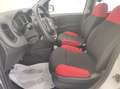 Fiat Panda Panda 1.2 Pop s Bianco - thumbnail 10