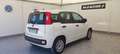 Fiat Panda Panda 1.2 Pop s Bianco - thumbnail 6