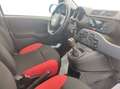Fiat Panda Panda 1.2 Pop s Bianco - thumbnail 7