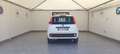 Fiat Panda Panda 1.2 Pop s Bianco - thumbnail 5