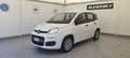 Fiat Panda Panda 1.2 Pop s Bianco - thumbnail 3
