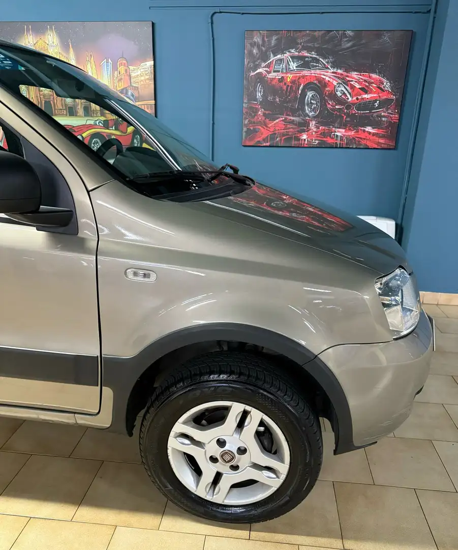 Fiat Panda Panda 1.2 4x4 69cv DISTRIBUZIONE APPENA FATTA Bronzo - 2