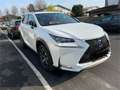 Lexus NX 300 300h 2.5 F-Sport 4wd cvt Bianco - thumbnail 1