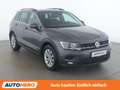 Volkswagen Tiguan 1.6 TDI Comfortline BlueMotion Tech Grau - thumbnail 8