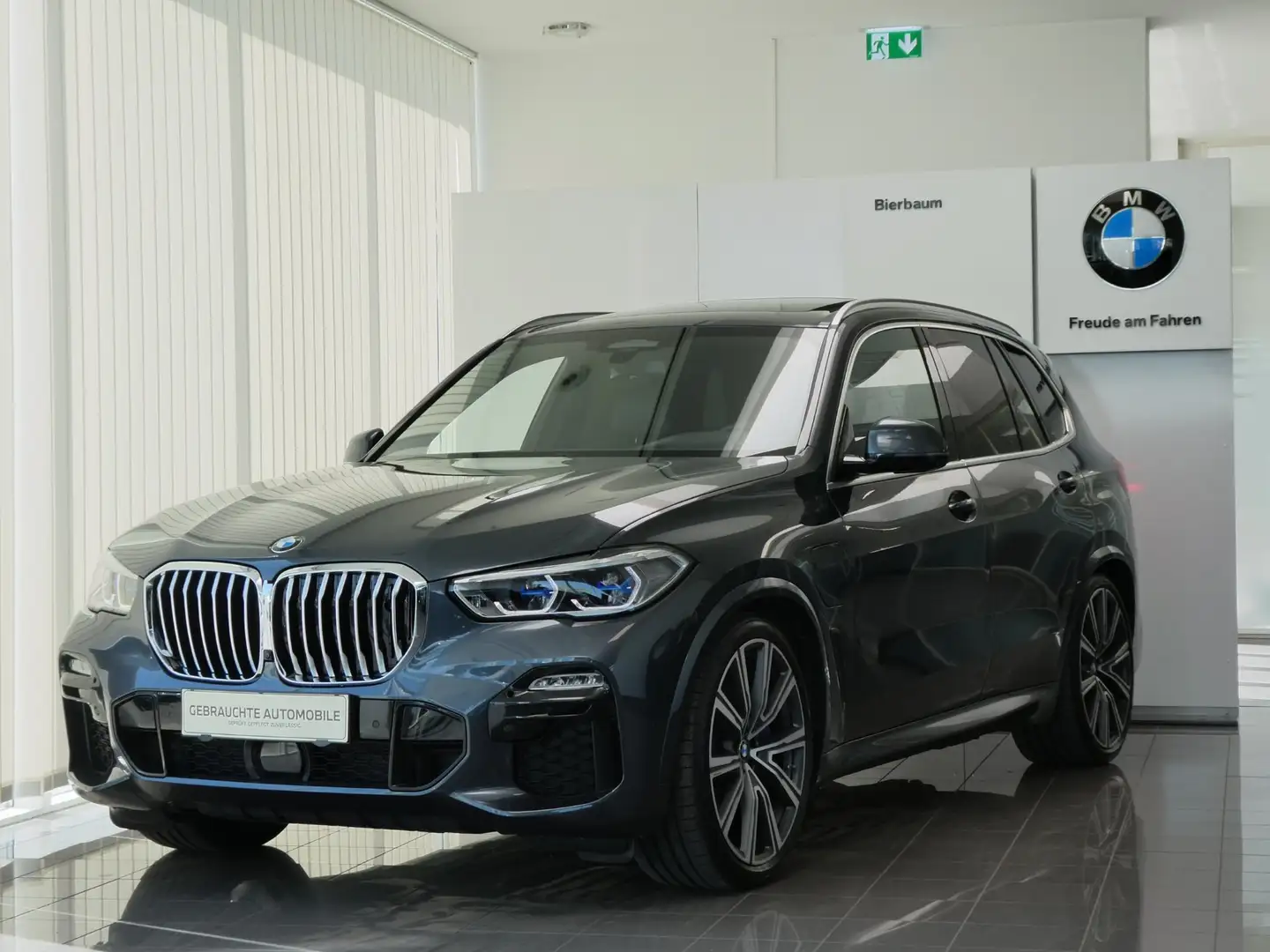 BMW X5 xDrive45e Grau - 1