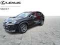 Lexus NX 300h Executive Line Zwart - thumbnail 1