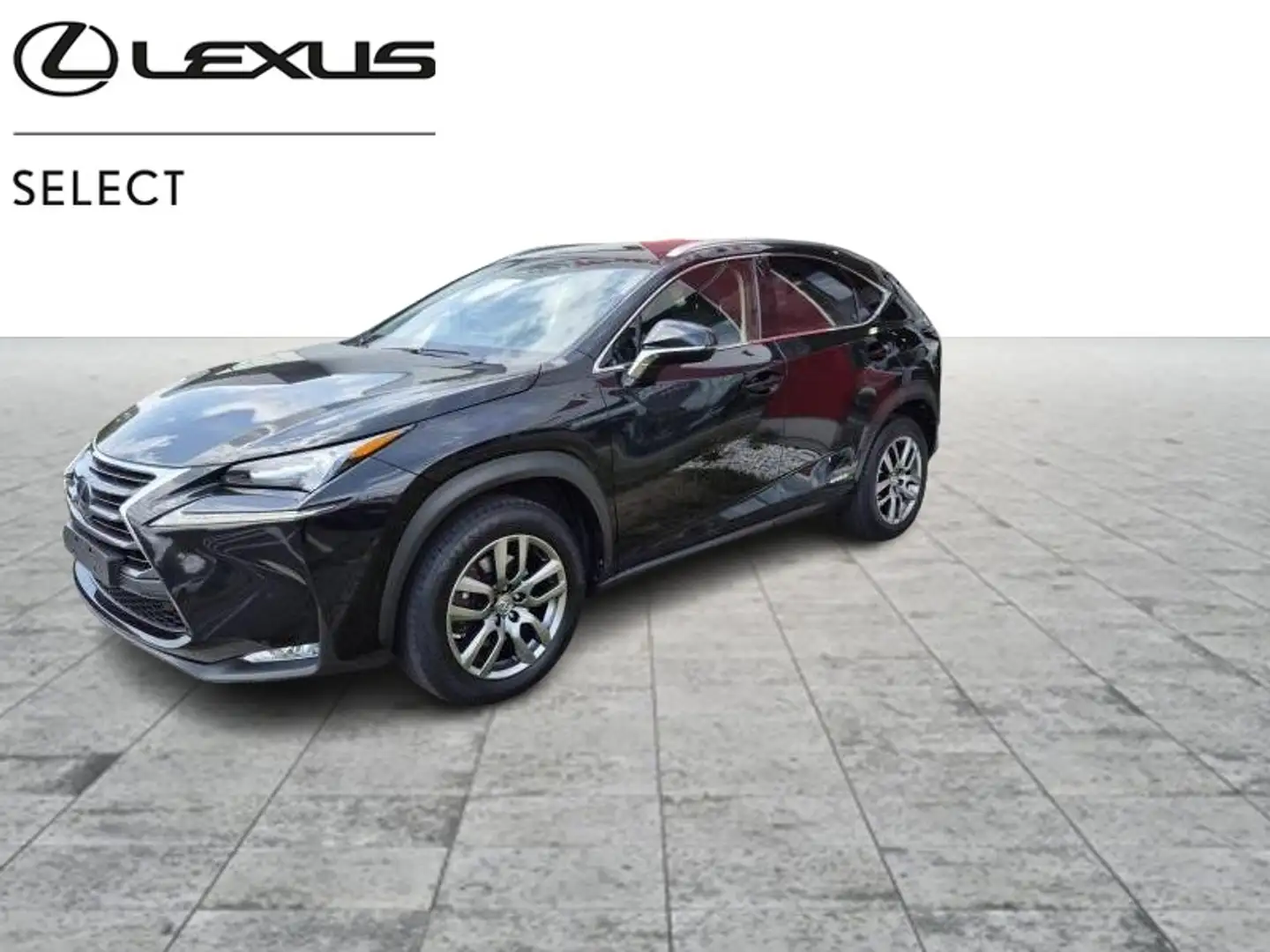 Lexus NX 300h Executive Line Zwart - 1