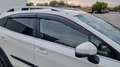 Subaru XV XV 2.0i-S CVT Style Navi Allrad Aut. Style Navi Weiß - thumbnail 22