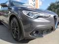 Alfa Romeo Stelvio 2.2 td Super rwd 180cv auto | 2018 Gris - thumbnail 24
