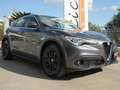 Alfa Romeo Stelvio 2.2 td Super rwd 180cv auto | 2018 Gris - thumbnail 28