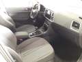 SEAT Ateca 1.5 EcoTSI S&S Style Evo Edition Blanco - thumbnail 5
