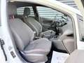 Ford Fiesta ST-Line/5-türig/Klimaauto./Euro6/ 1 Hand Bianco - thumbnail 15