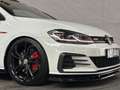 Volkswagen Golf GTI 2.0 TSI TCR Panoramadak Cruise Clima Weiß - thumbnail 30