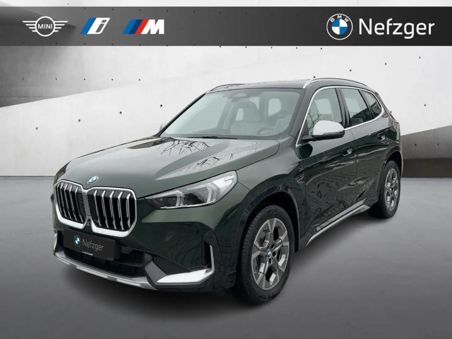 BMW X1 xDrive20d X Line Park-Assistent PANO LED Grün - 1