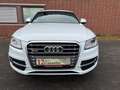 Audi SQ5 competition quattro *XENON*KAM*ALC*NAVI* Blanc - thumbnail 2