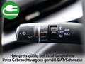 GWM HAVAL H6 Haval  Premium / 360° Kamera / SHZ / Bluetooth Negro - thumbnail 12