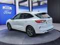 Ford Kuga 2.5 Duratec PHEV ST-LINE Blanc - thumbnail 4