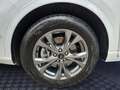 Ford Kuga 2.5 Duratec PHEV ST-LINE Blanc - thumbnail 16