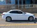 Alfa Romeo Giulia Giulia 2016 2.2 t Executive 190cv auto my19 Bianco - thumbnail 1