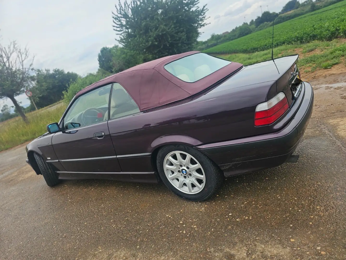 BMW 320 Bmw e36 320ci Classic Individual Mora Metallic - 2