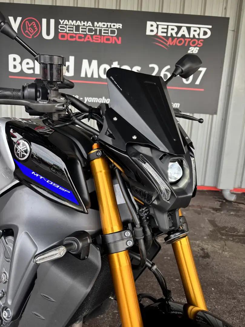 Yamaha MT-09 Gris - 1