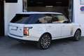 Land Rover Range Rover 5.0 V8 Autobiography 4WD Aut. 525 Bianco - thumbnail 6