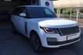 Land Rover Range Rover 5.0 V8 Autobiography 4WD Aut. 525 Weiß - thumbnail 49