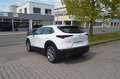 Mazda CX-30 SKYACTIV 122PS 6AG Exclusive Modell 2024 Weiß - thumbnail 6