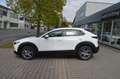Mazda CX-30 SKYACTIV 122PS 6AG Exclusive Modell 2024 Wit - thumbnail 4