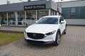 Mazda CX-30 SKYACTIV 122PS 6AG Exclusive Modell 2024 Blanc - thumbnail 2