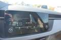Skoda Kamiq 1.5 Selection*Matrix*Winter*SmartLink*DAB+ Schwarz - thumbnail 19